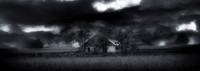 HOME ON THE RANGE 2