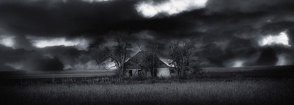 HOME ON THE RANGE 2