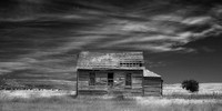 HOME ON THE RANGE 17