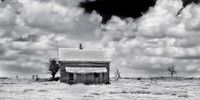 HOME ON THE RANGE 13