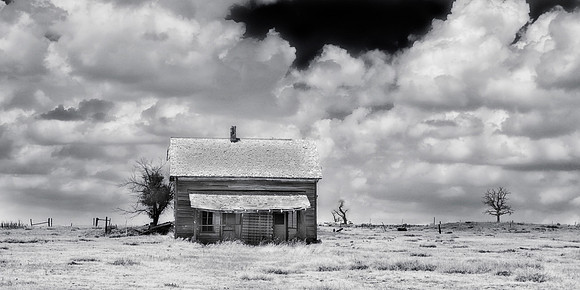 HOME ON THE RANGE 13