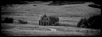HOME ON THE RANGE 5