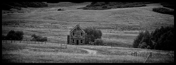 HOME ON THE RANGE 5