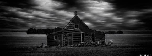 HOME ON THE RANGE 4