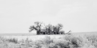 HOME ON THE RANGE 2 WINTER