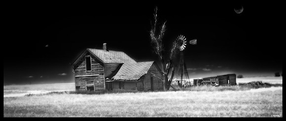 HOME ON THE RANGE 9