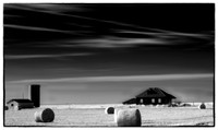 HOME ON THE RANGE 8