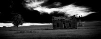 HOME ON THE RANGE 3
