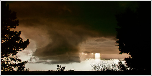 TWISTER